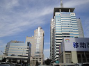 China Mobile Limited