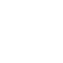 Autodesk Inc.