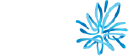 AMP Ltd