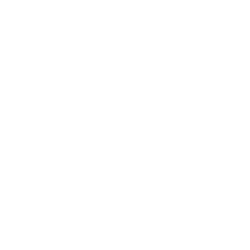 CarMax Inc.