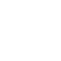 NetApp Inc.