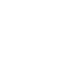 Royal Caribbean Cruises