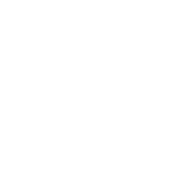 VansEck Semiconductor ETF