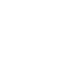 UnitedHealth Group Inc.