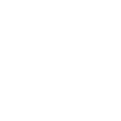 VF Corporation